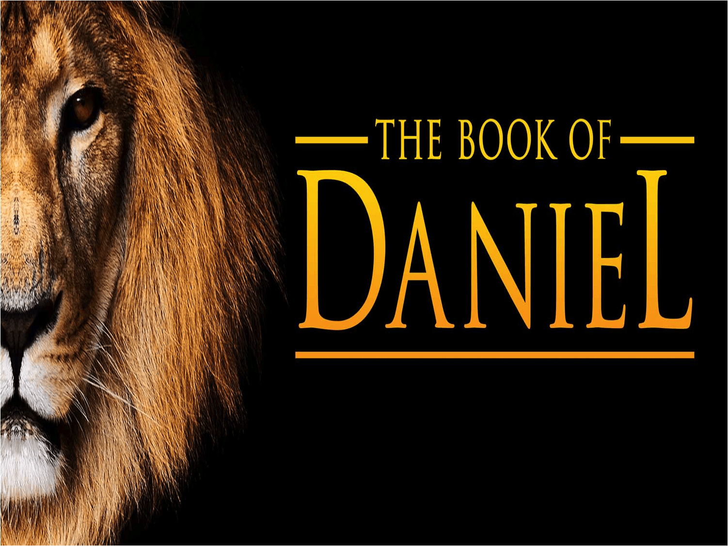 the-book-of-daniel-faith-family-fellowship